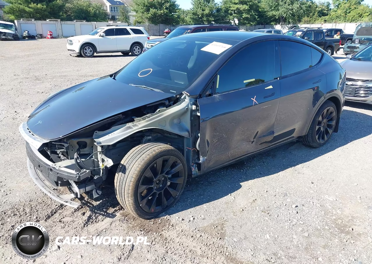 2023 Tesla Model Y VIN:7SAYGAEE0PF606695 - 2
