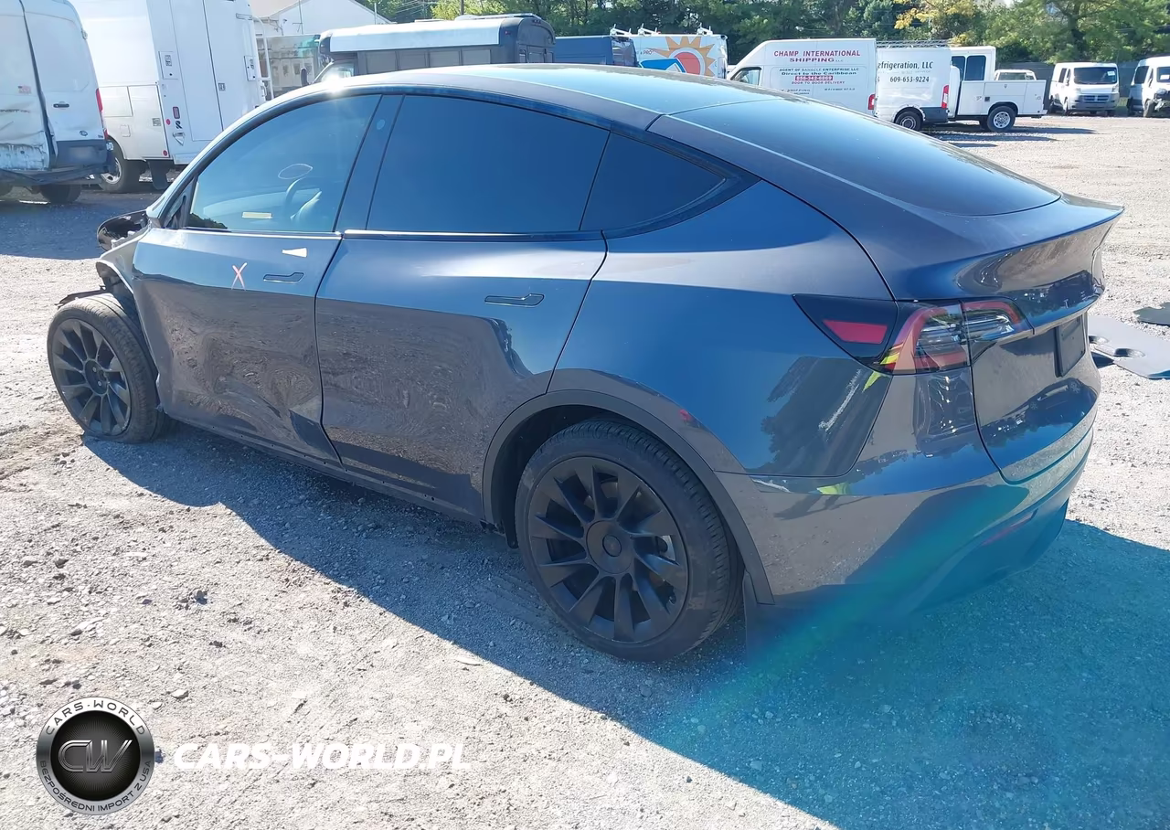 2023 Tesla Model Y VIN:7SAYGAEE0PF606695 - 3