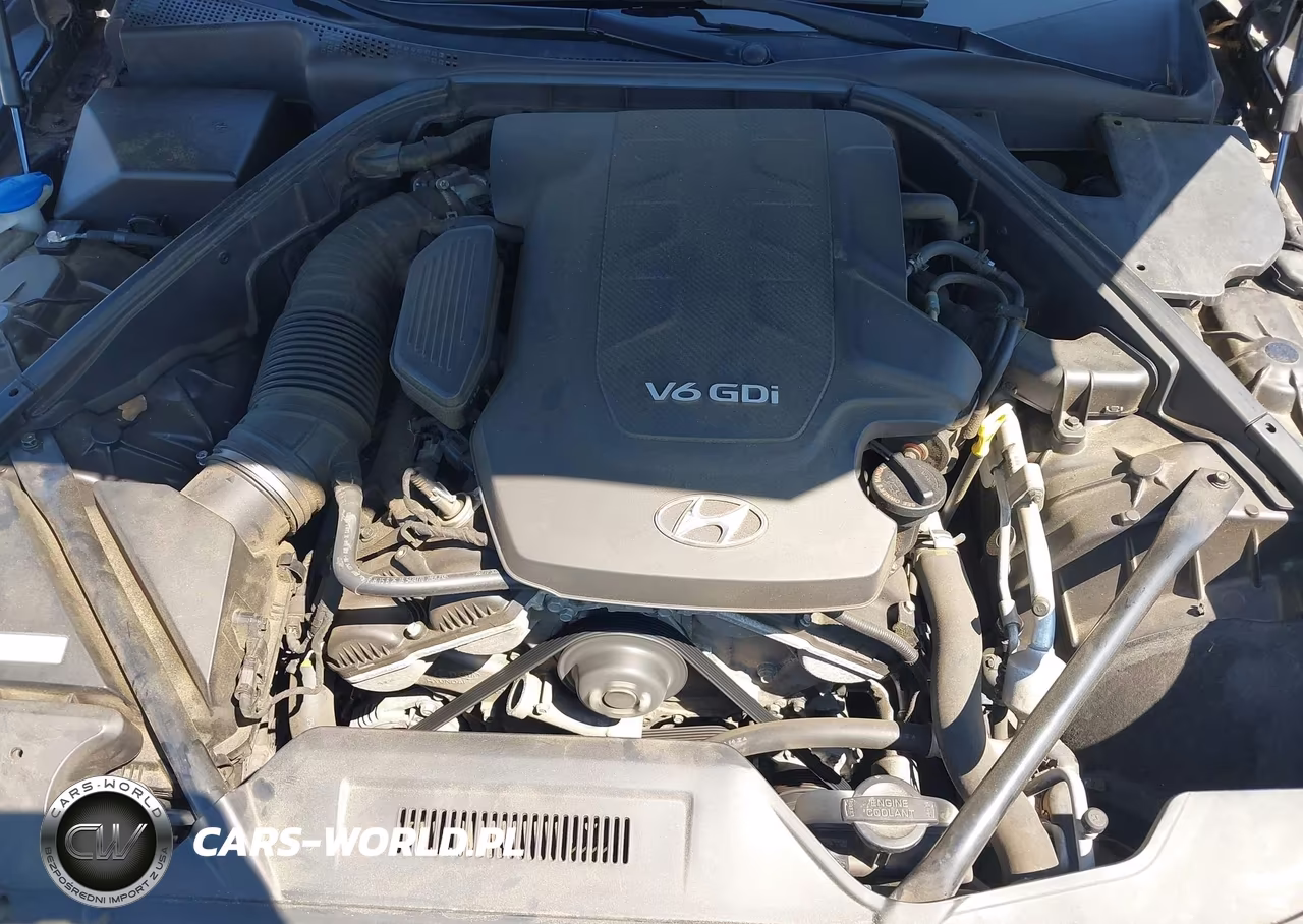 2015 Hyundai Genesis 3.8 VIN:KMHGN4JE7FU091430 - 10