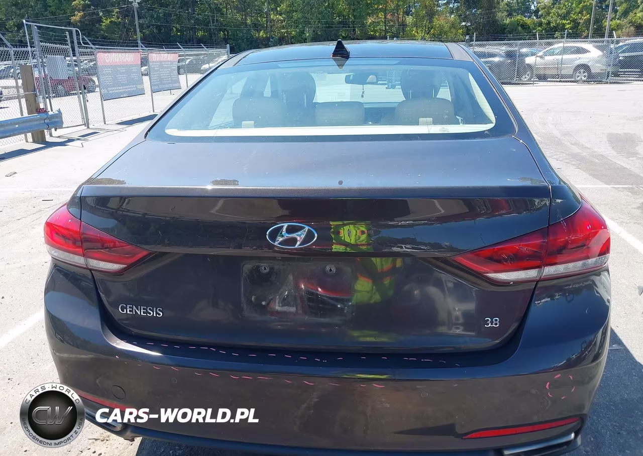 2015 Hyundai Genesis 3.8 VIN:KMHGN4JE7FU091430 - 16