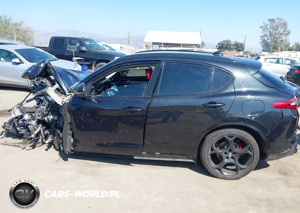 2023 Alfa Romeo Stelvio Veloce Awd VIN:ZASPAKBN3P7D54202 - 19