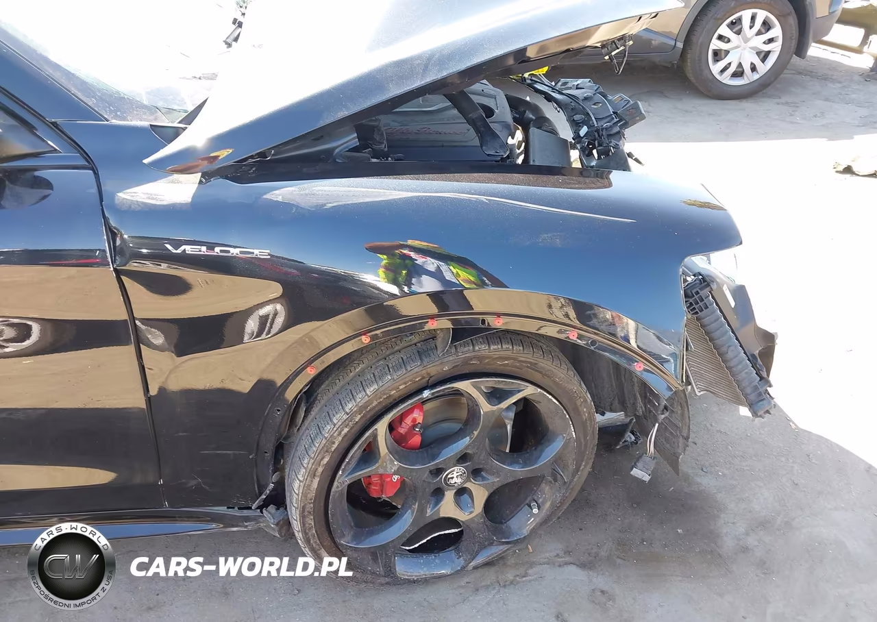 2023 Alfa Romeo Stelvio Veloce Awd VIN:ZASPAKBN3P7D54202 - 22