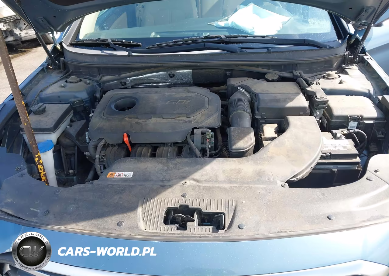 2015 Hyundai Sonata Se VIN:5NPE24AF7FH093640 - 10
