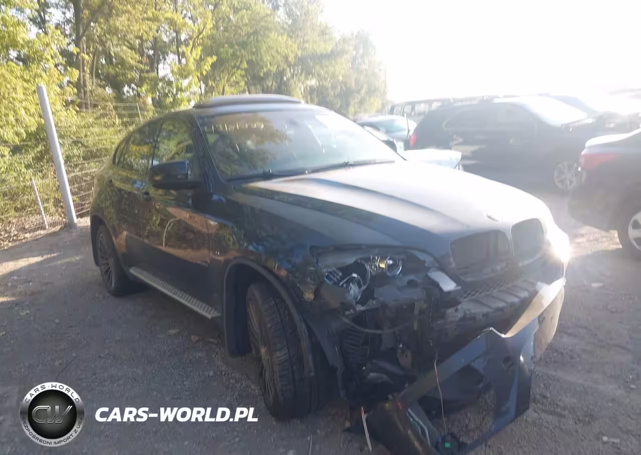 2011 BMW X6 xDrive50I