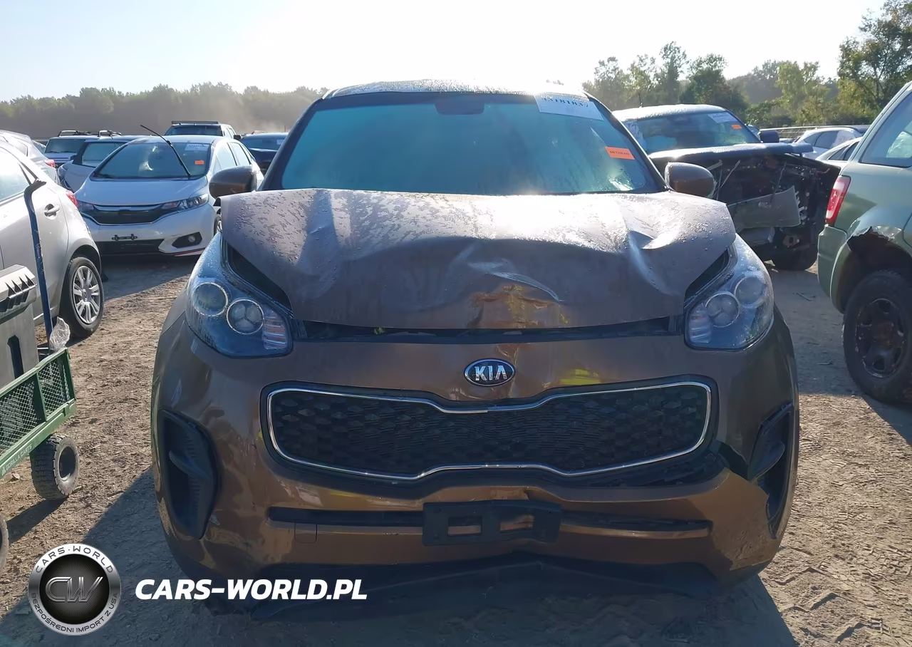 2018 Kia Sportage Lx VIN:KNDPM3AC9J7357960 - 12