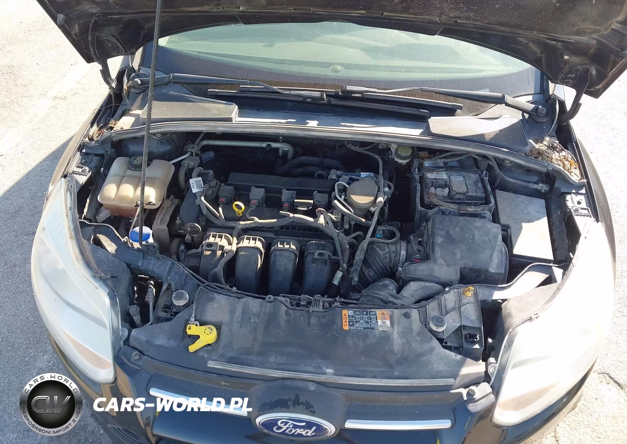 2014 Ford Focus Se VIN:1FADP3F22EL341130 - 10