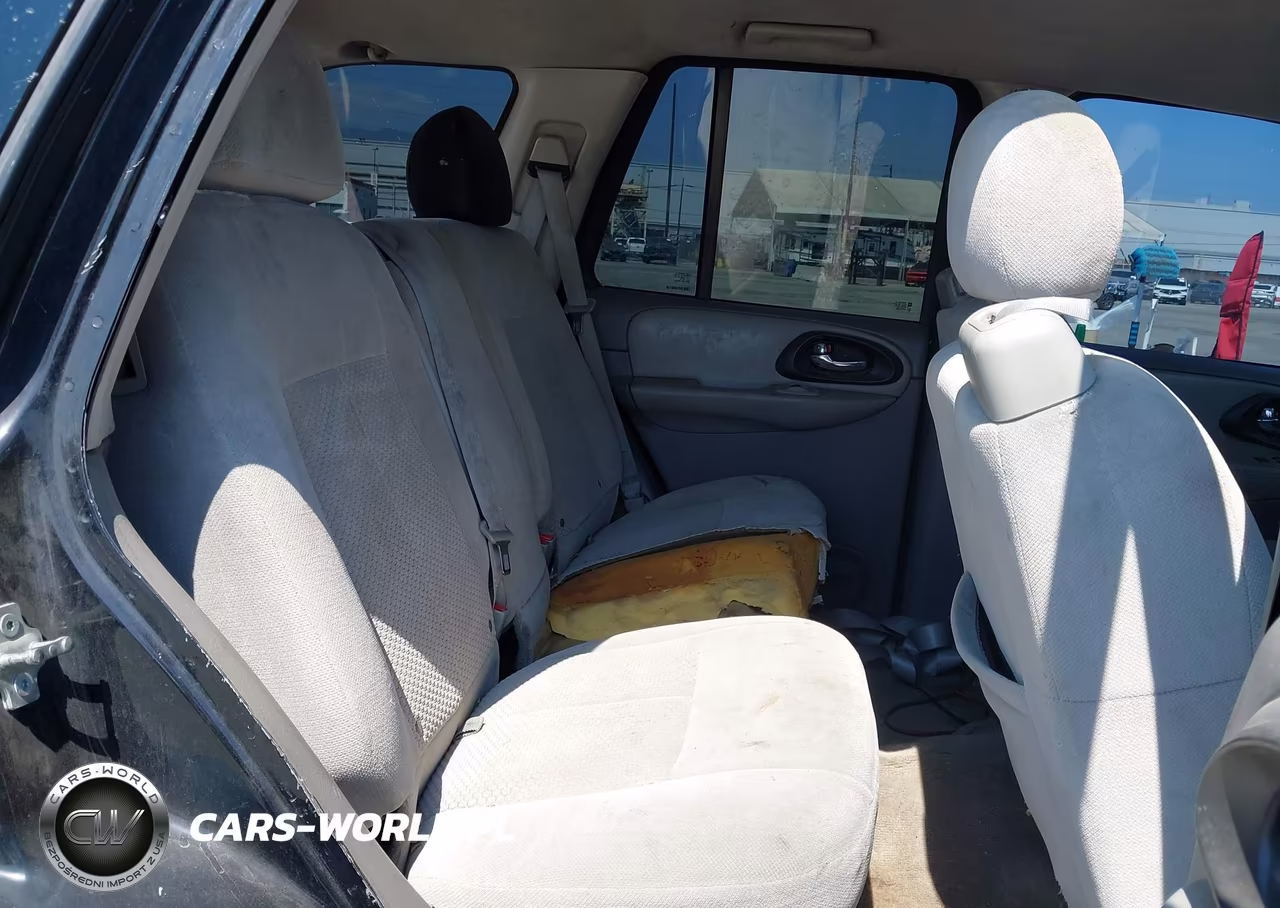 2008 Chevrolet Trailblazer Fleet VIN:1GNDS13S882106461 - 8