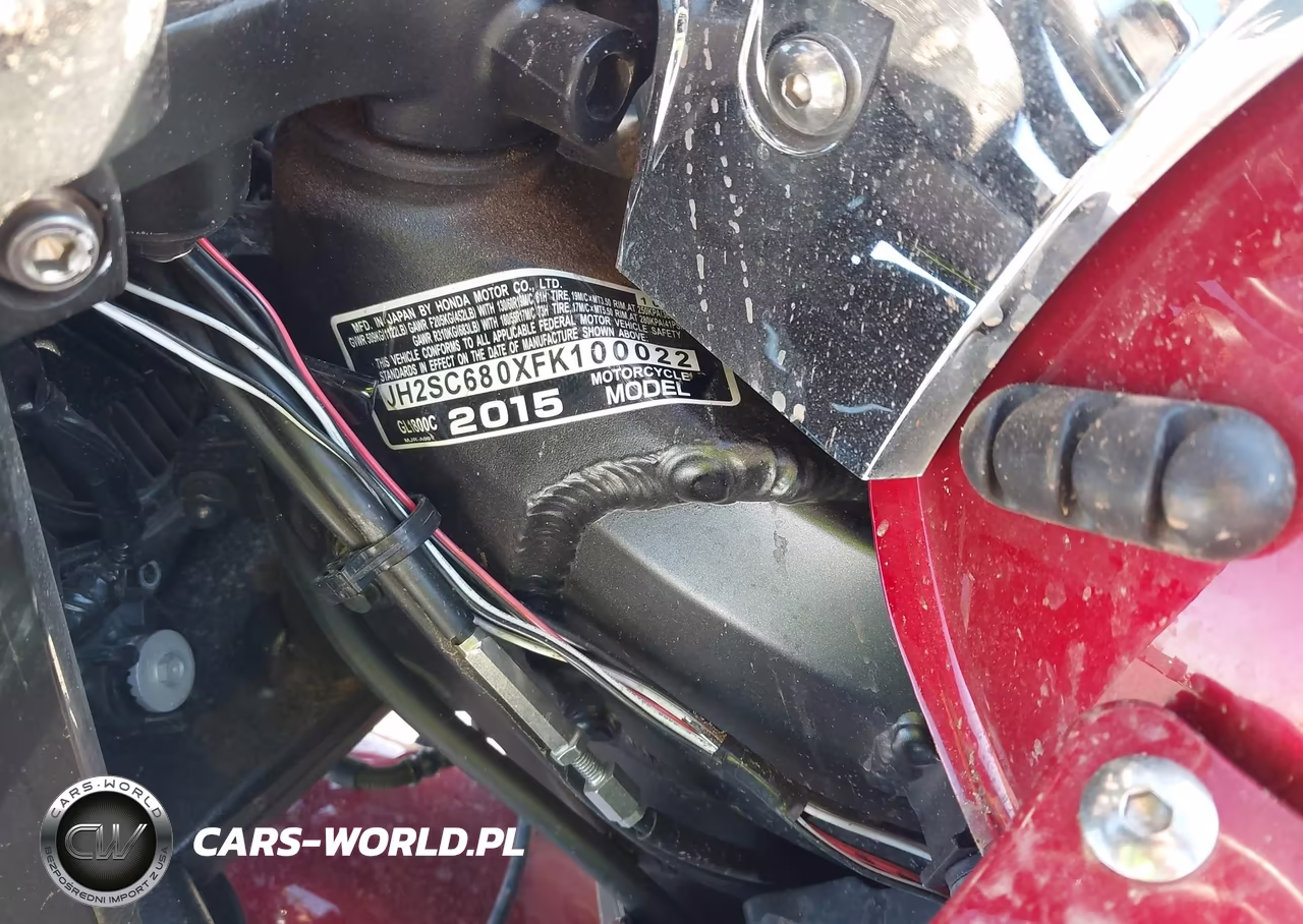 2015 Honda Gl1800 C VIN:JH2SC680XFK100022 - 10