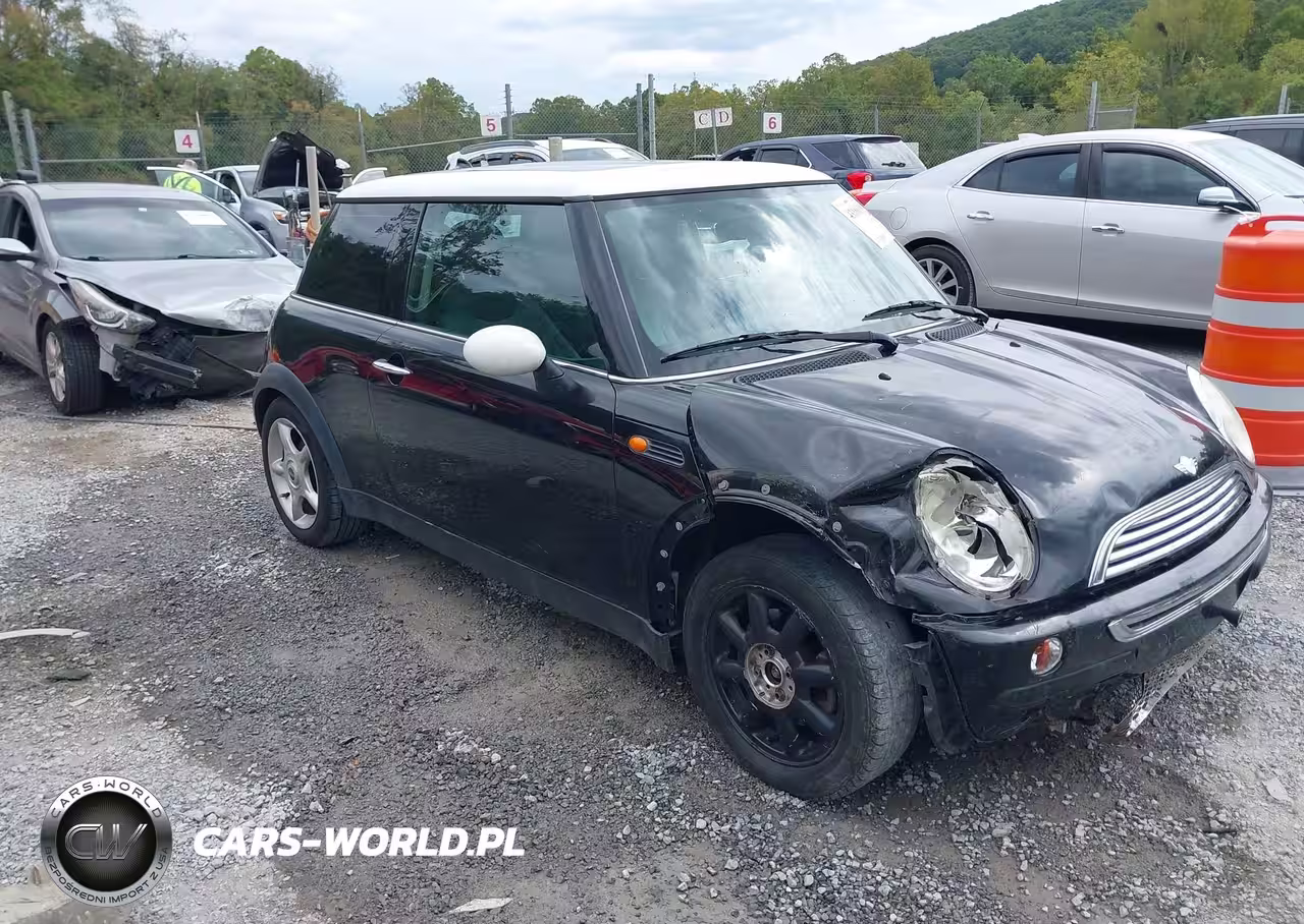 MINI