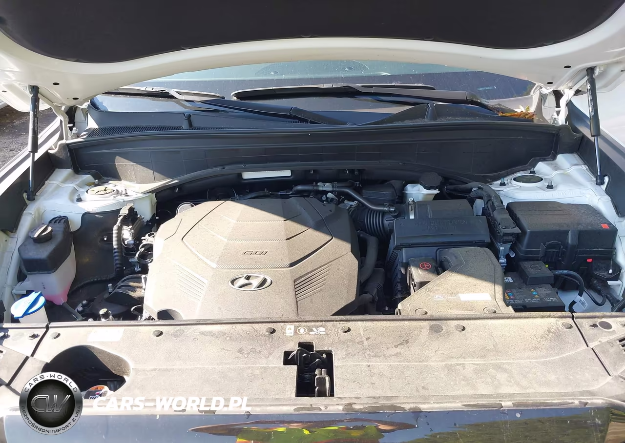 2024 Hyundai Palisade Sel VIN:KM8R4DGE2RU741871 - 10