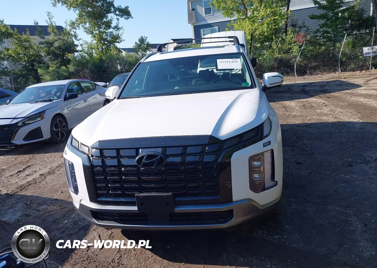 2024 Hyundai Palisade Sel VIN:KM8R4DGE2RU741871 - 12