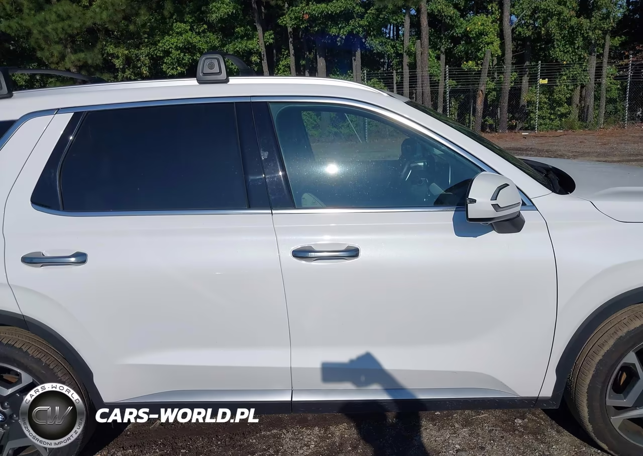 2024 Hyundai Palisade Sel VIN:KM8R4DGE2RU741871 - 13