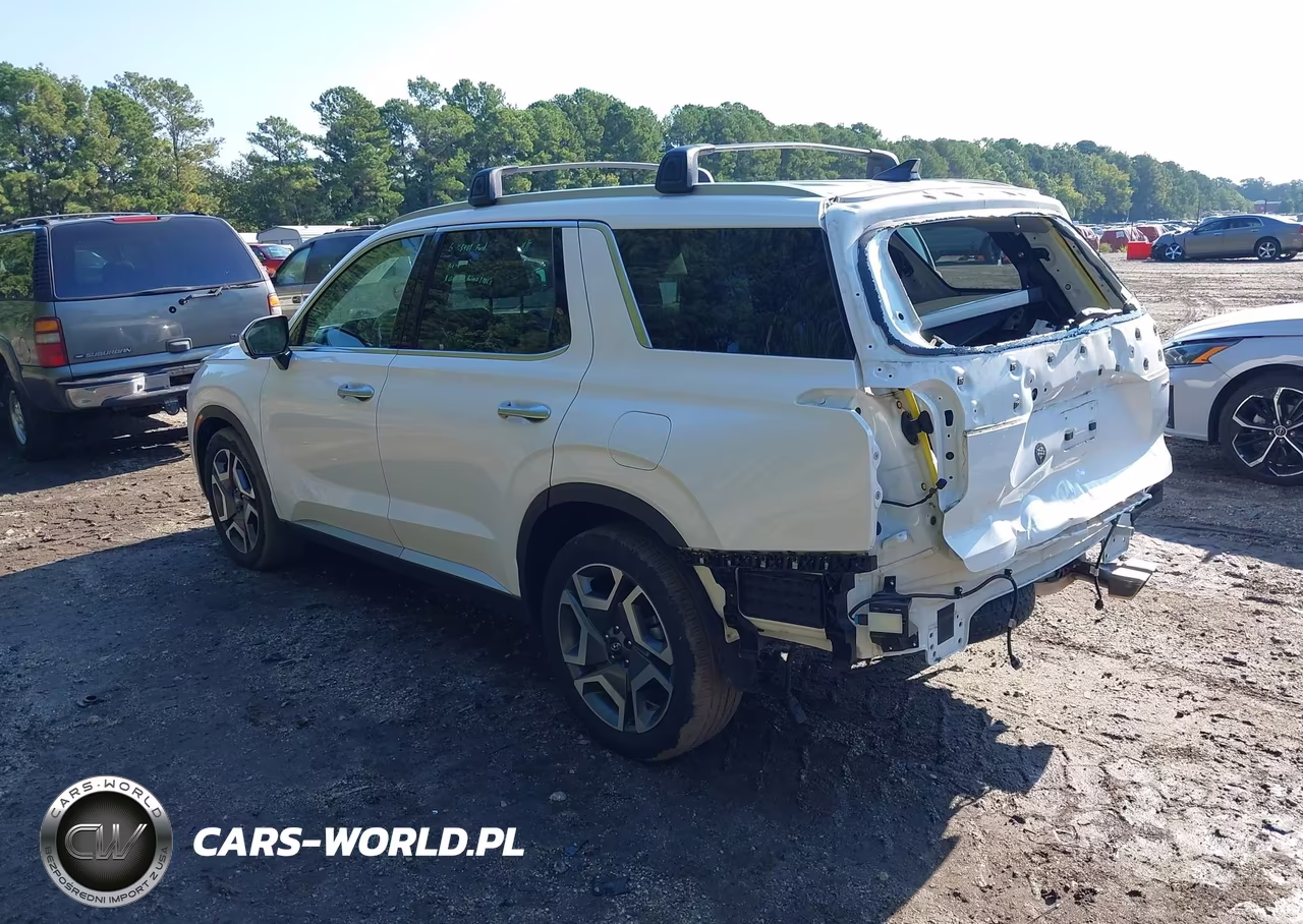 2024 Hyundai Palisade Sel VIN:KM8R4DGE2RU741871 - 3