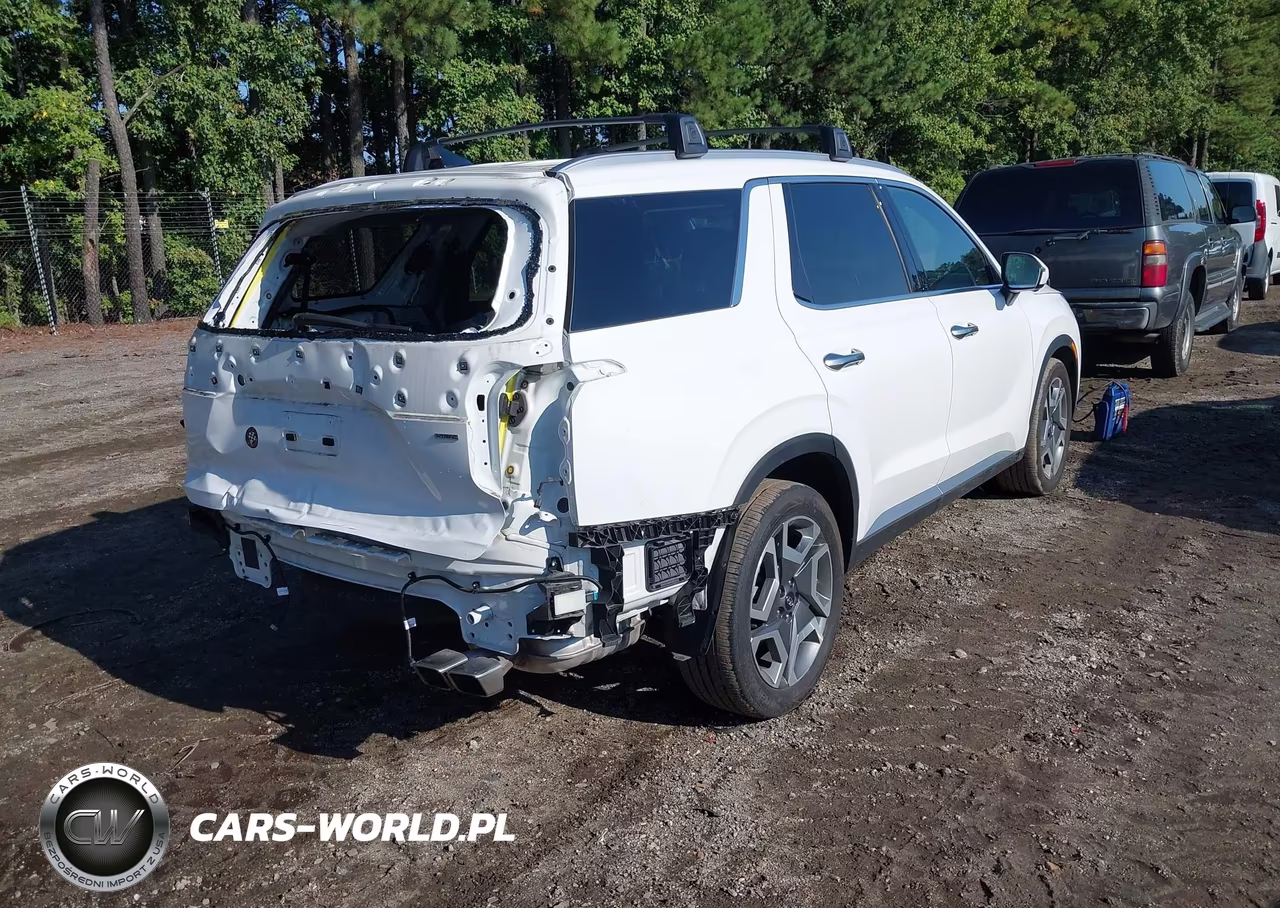2024 Hyundai Palisade Sel VIN:KM8R4DGE2RU741871 - 4