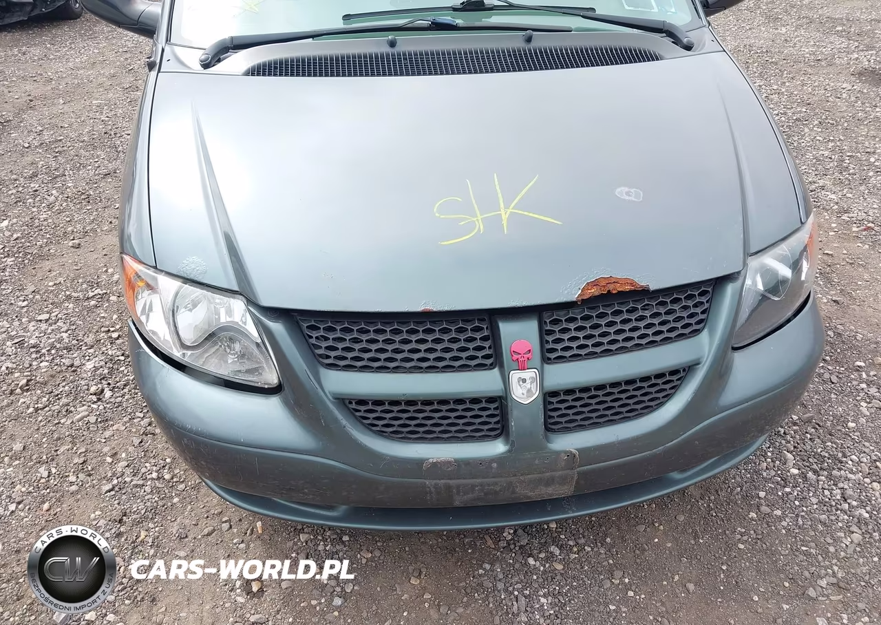 2003 Dodge Grand Caravan Se VIN:1D4GP24333B312447 - 10