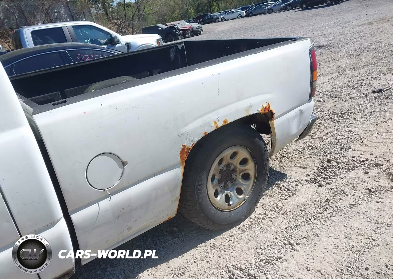 2005 GMC Sierra 1500 Work Truck VIN:1GTEC14X45Z119117 - 6