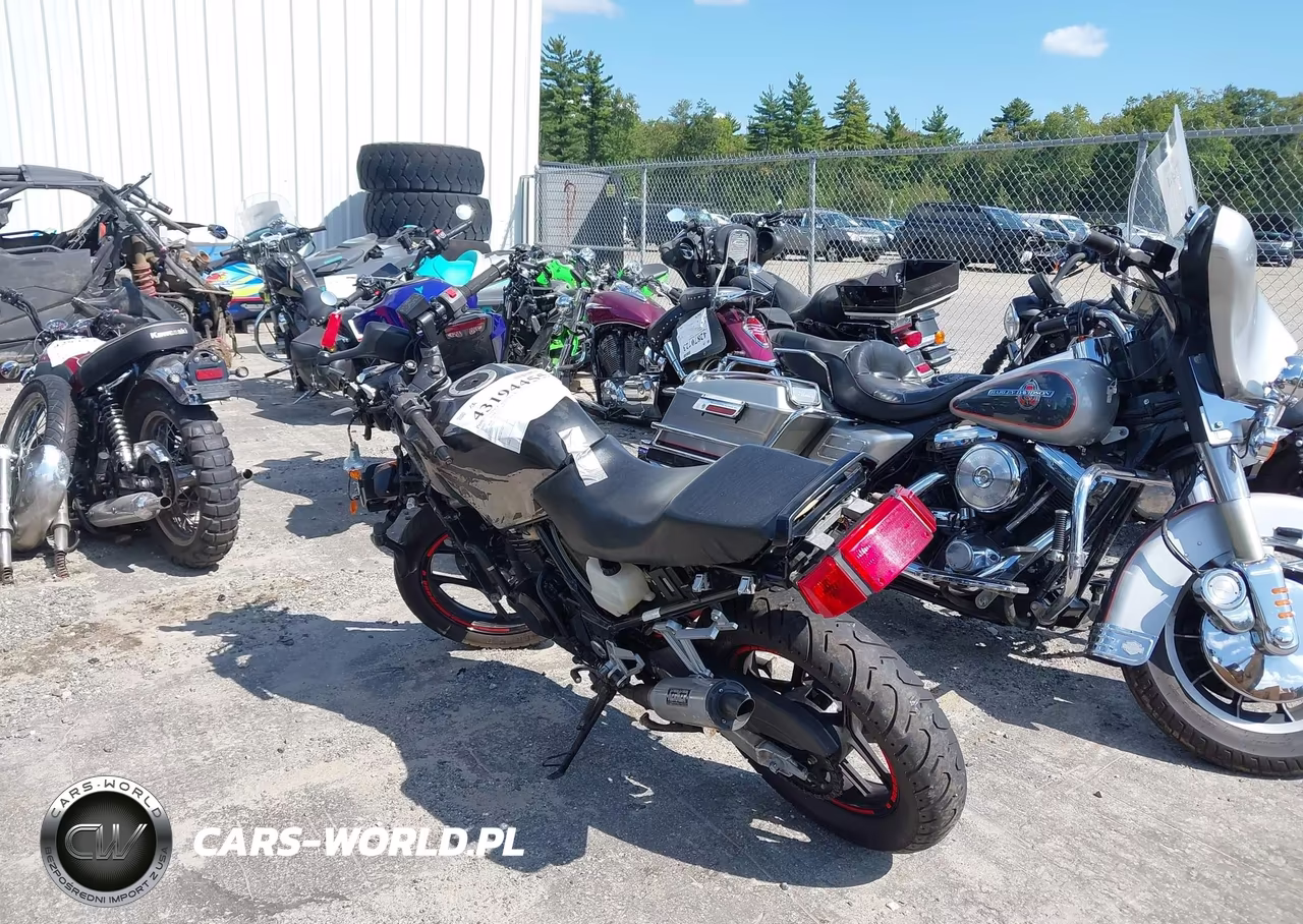 2005 Kawasaki Ex250 F VIN:JKAEXMF185DA13651 - 3