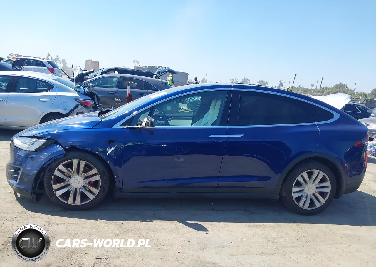 2016 Tesla Model X 75D-P100D-P90D VIN:5YJXCBE41GF017897 - 13