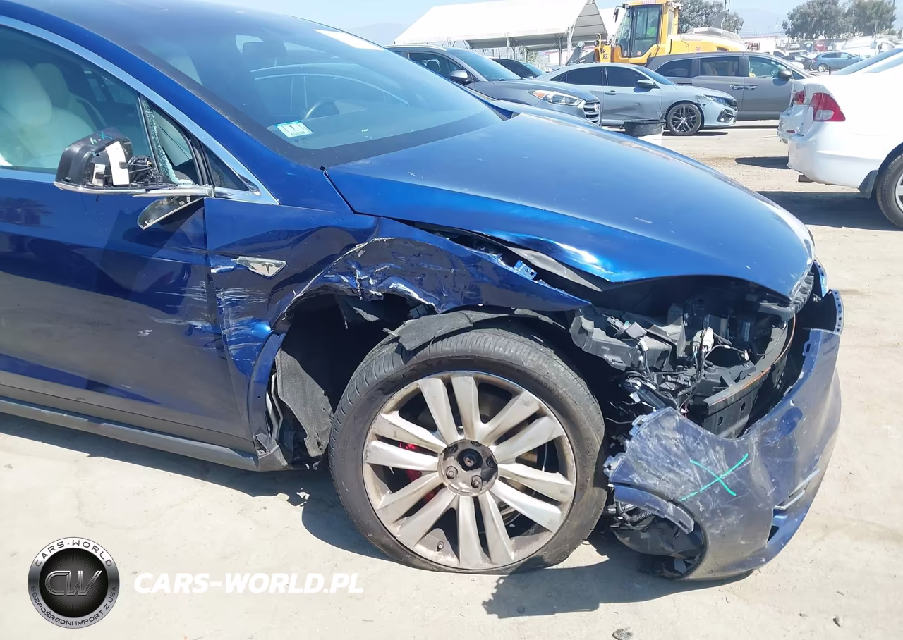 2016 Tesla Model X 75D-P100D-P90D VIN:5YJXCBE41GF017897 - 18