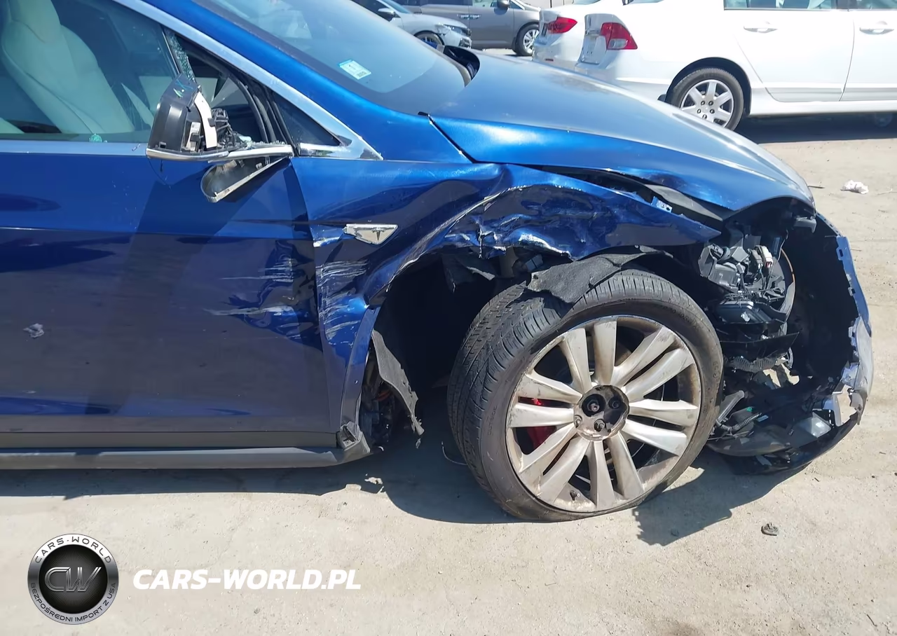 2016 Tesla Model X 75D-P100D-P90D VIN:5YJXCBE41GF017897 - 19