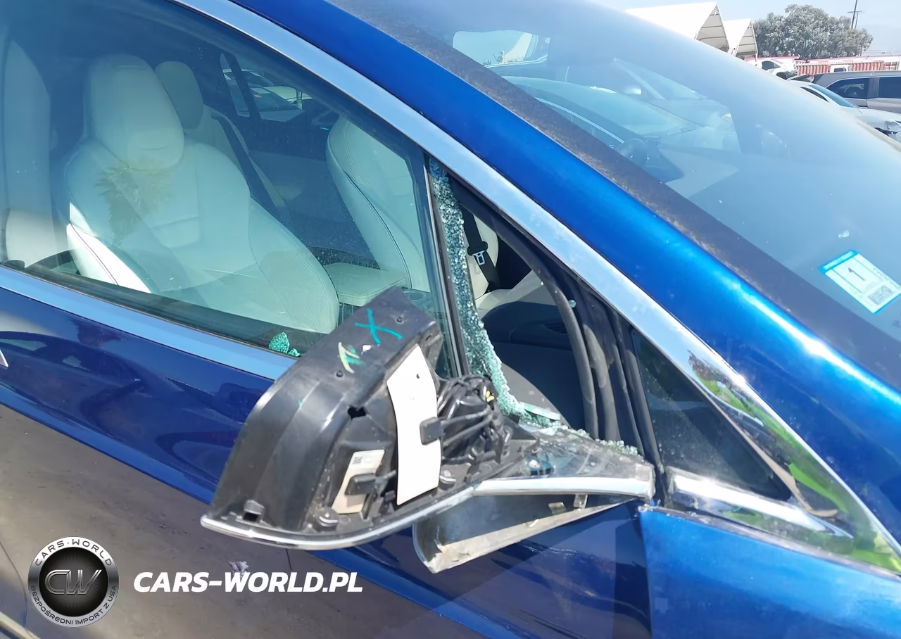 2016 Tesla Model X 75D-P100D-P90D VIN:5YJXCBE41GF017897 - 21