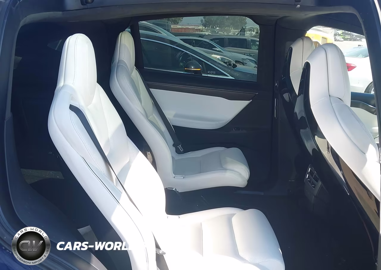 2016 Tesla Model X 75D-P100D-P90D VIN:5YJXCBE41GF017897 - 8