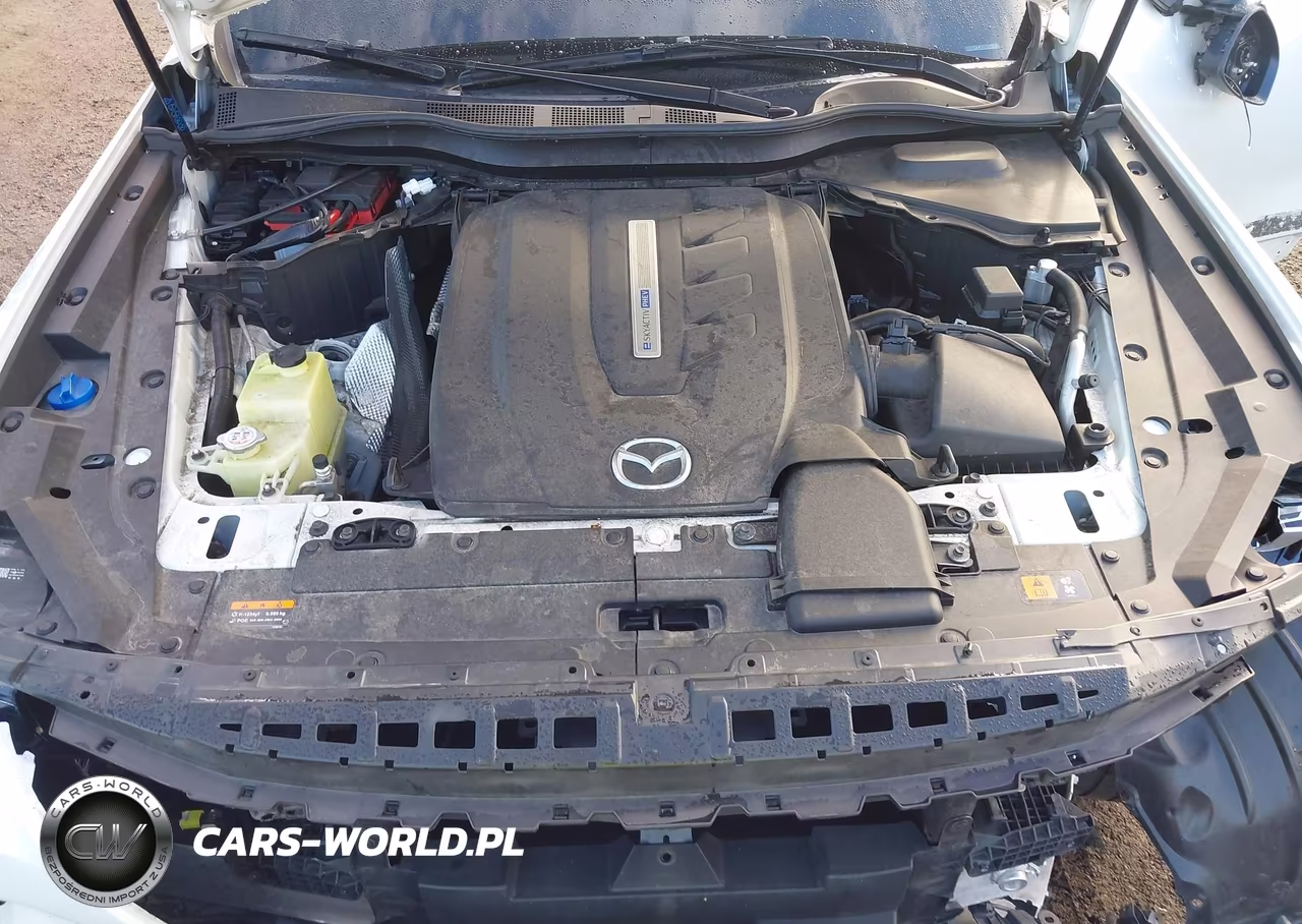 2024 Mazda Cx-90 Phev Premium Plus VIN:JM3KKEHAXR1131254 - 10