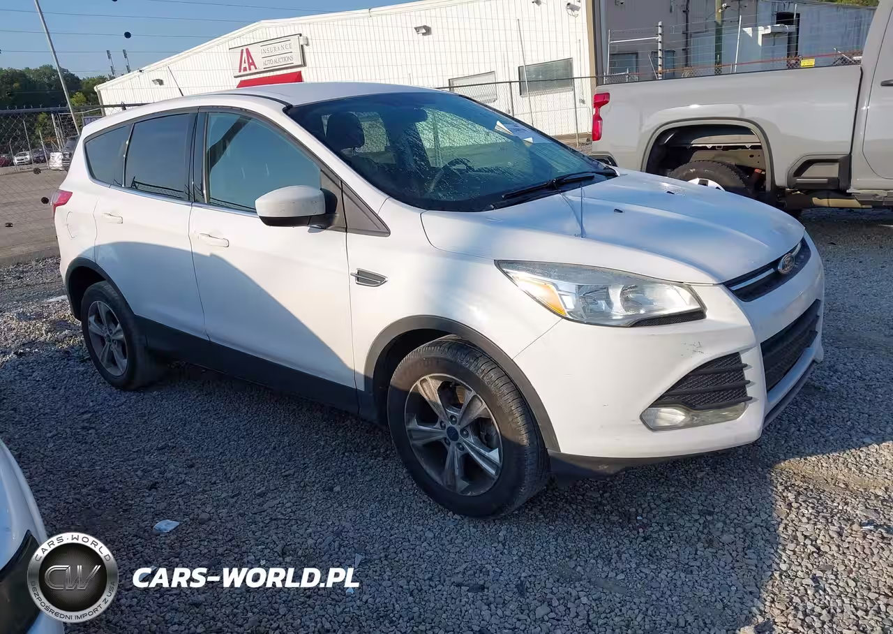 2014 Ford Escape Se