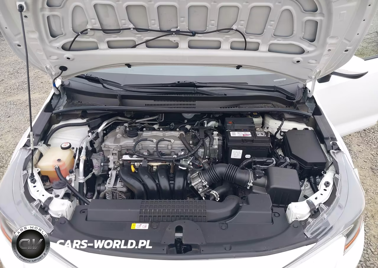 2021 Toyota Corolla Le VIN:JTDEPMAE4MJ185818 - 10