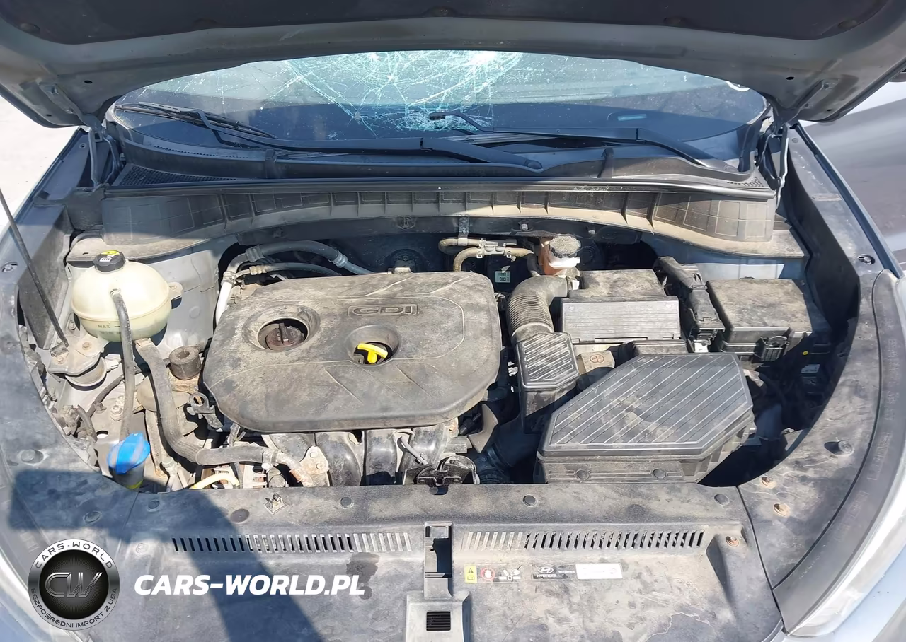 2017 Hyundai Tucson Se VIN:KM8J3CA46HU252060 - 10