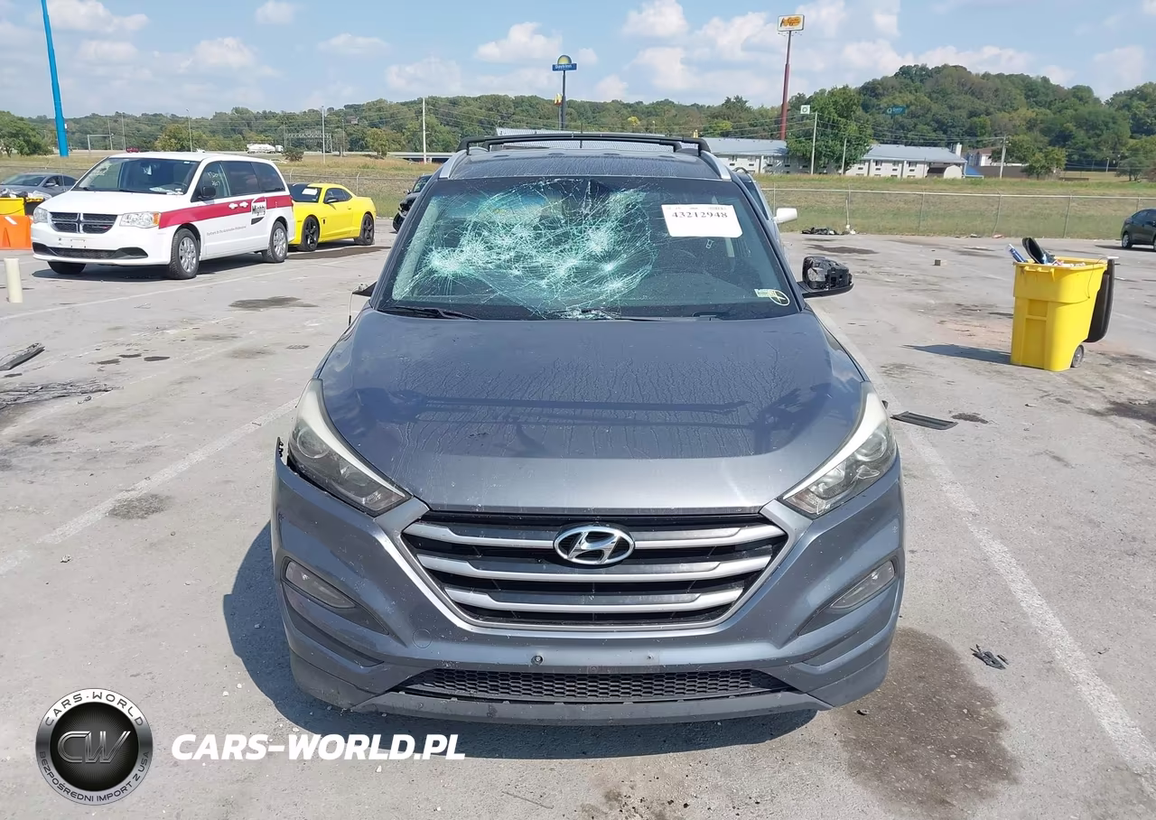 2017 Hyundai Tucson Se VIN:KM8J3CA46HU252060 - 12