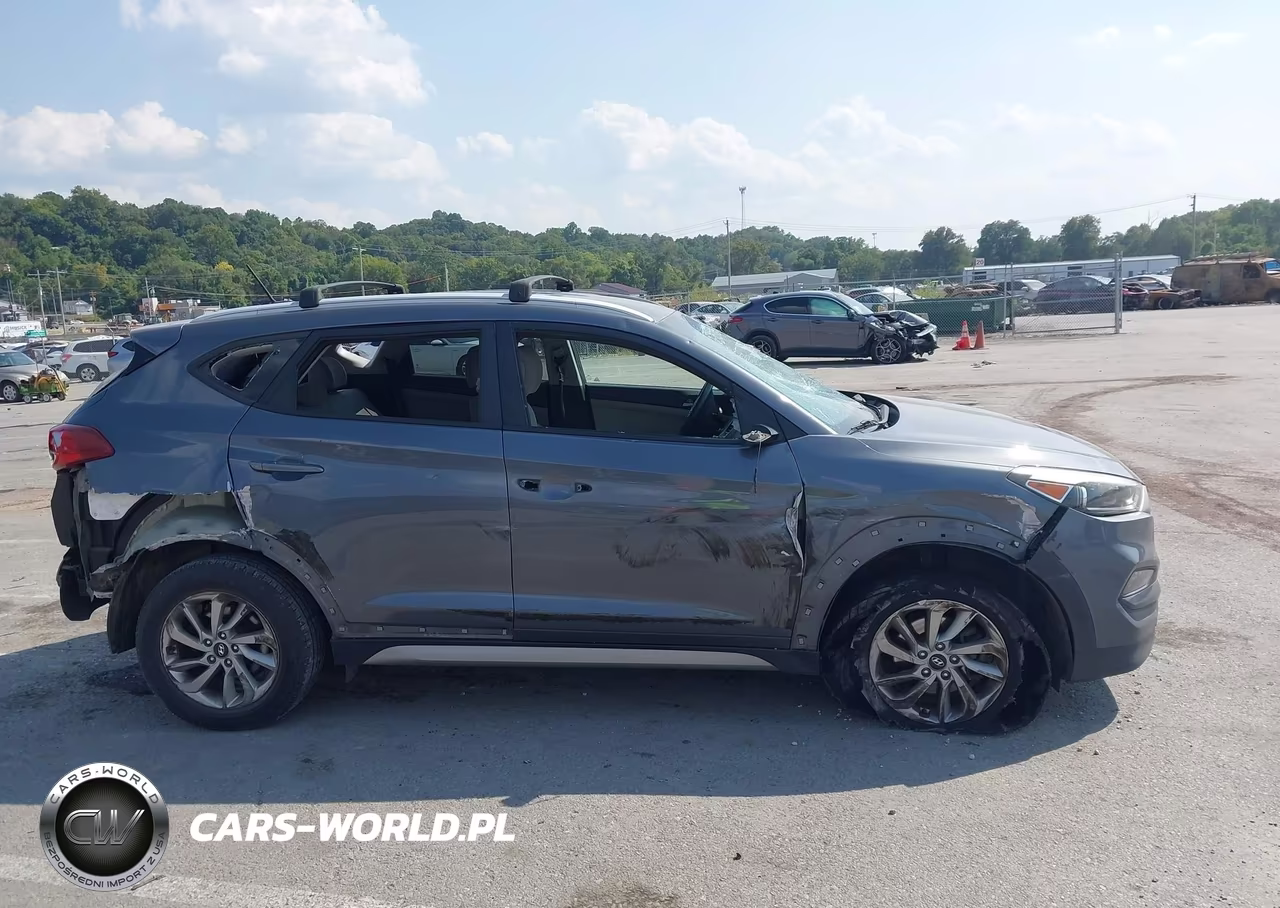 2017 Hyundai Tucson Se VIN:KM8J3CA46HU252060 - 13