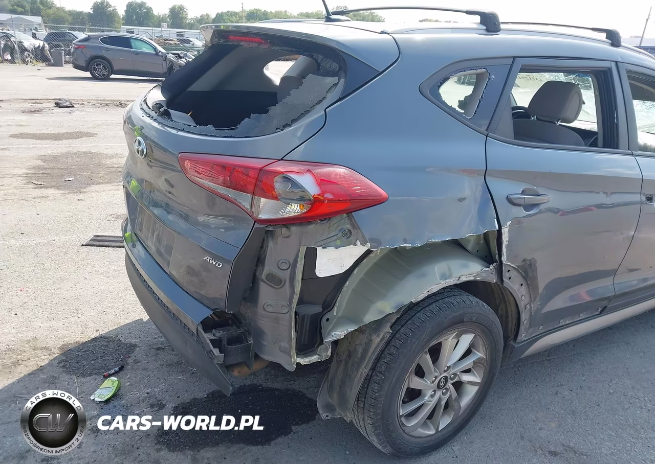 2017 Hyundai Tucson Se VIN:KM8J3CA46HU252060 - 6