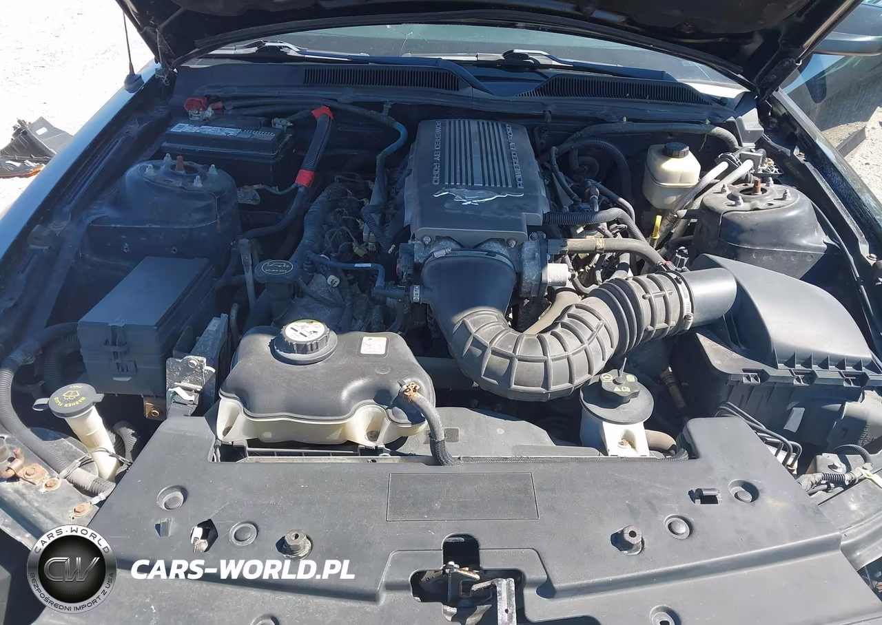 2007 Ford Mustang Gt Deluxe-Gt Premium VIN:1ZVFT82H375336397 - 10