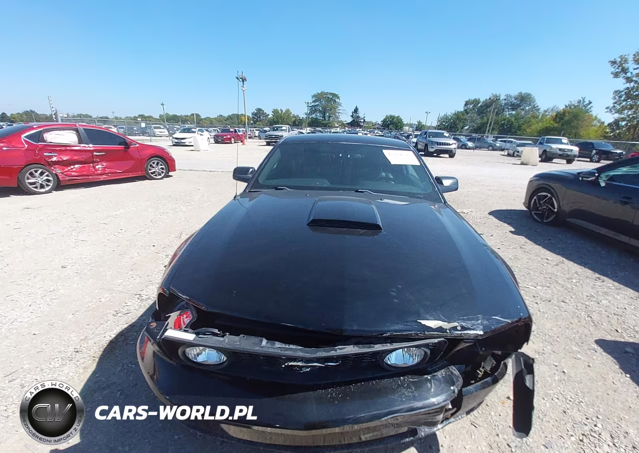 2007 Ford Mustang Gt Deluxe-Gt Premium VIN:1ZVFT82H375336397 - 12