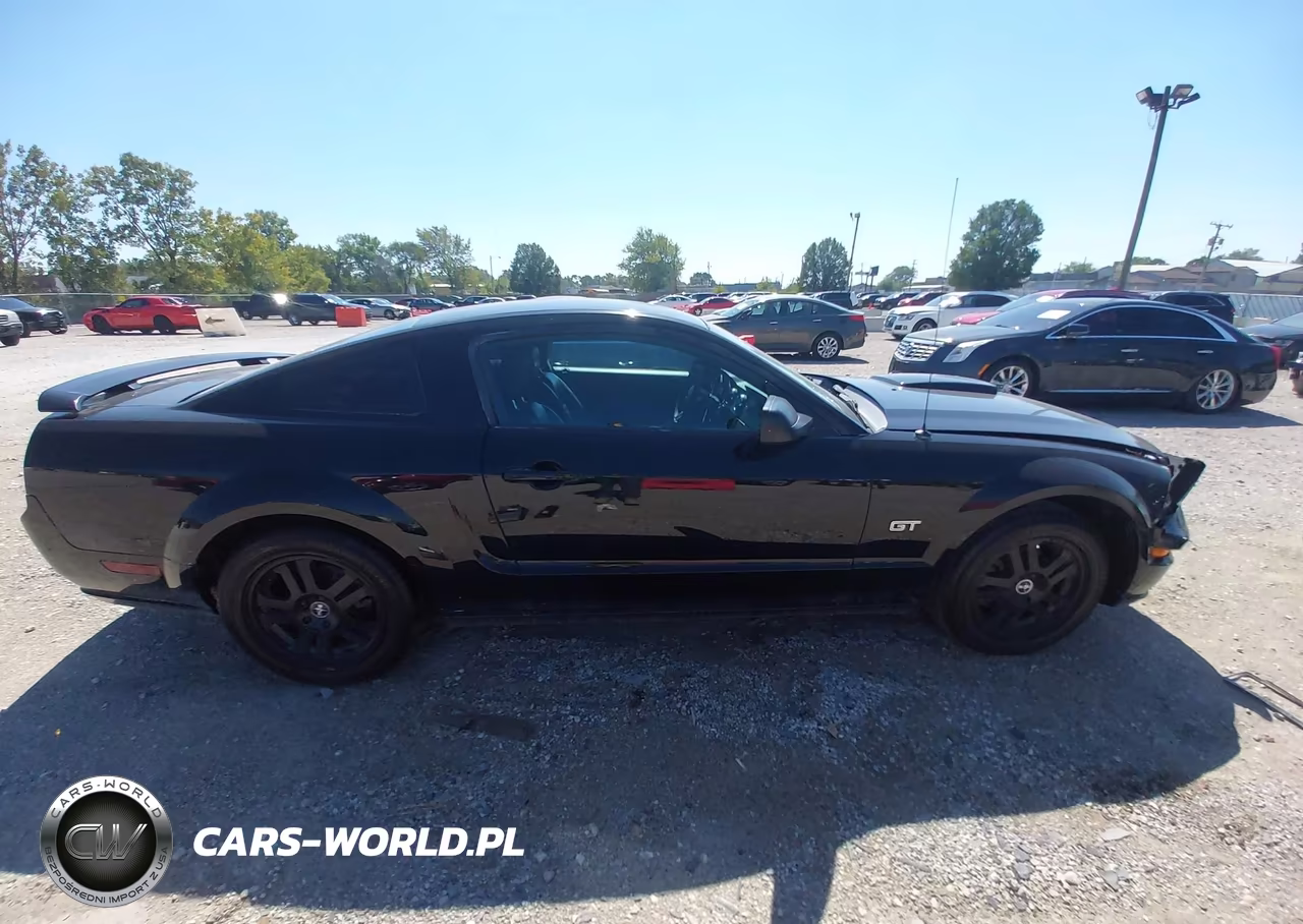 2007 Ford Mustang Gt Deluxe-Gt Premium VIN:1ZVFT82H375336397 - 13
