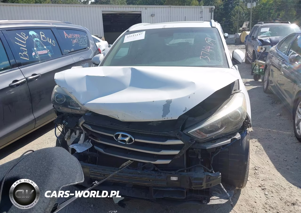 2017 Hyundai Tucson Sport VIN:KM8J3CA25HU374407 - 12