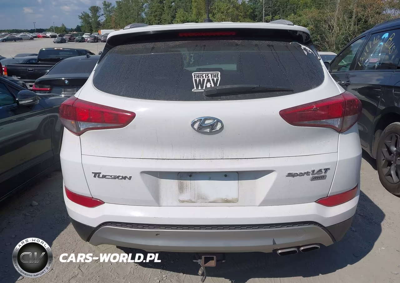 2017 Hyundai Tucson Sport VIN:KM8J3CA25HU374407 - 16