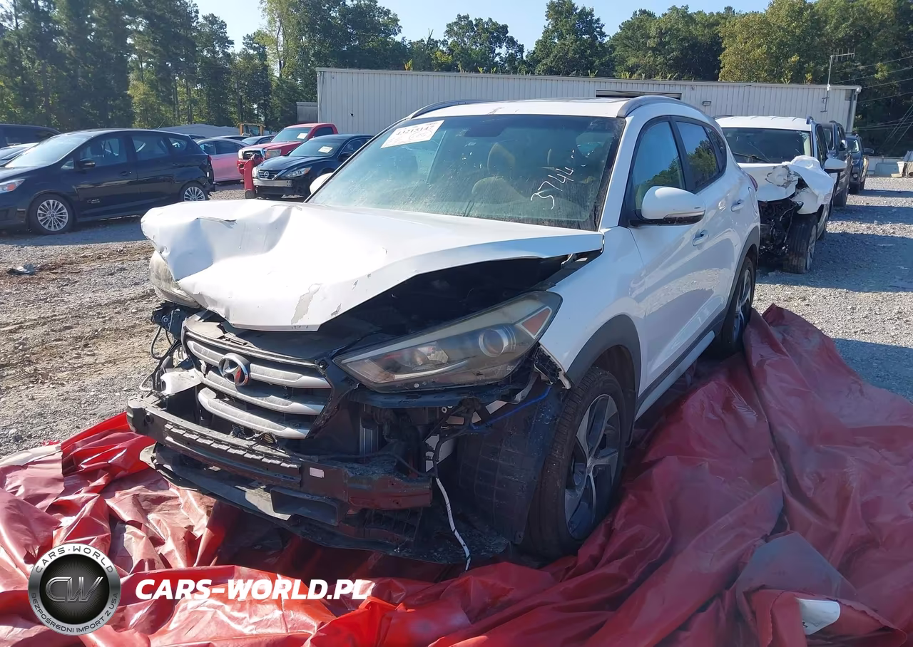 2017 Hyundai Tucson Sport VIN:KM8J3CA25HU374407 - 2