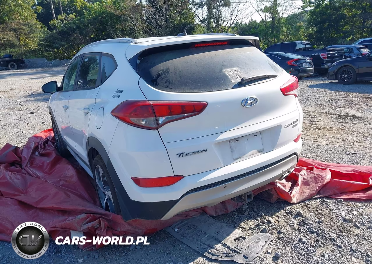 2017 Hyundai Tucson Sport VIN:KM8J3CA25HU374407 - 3
