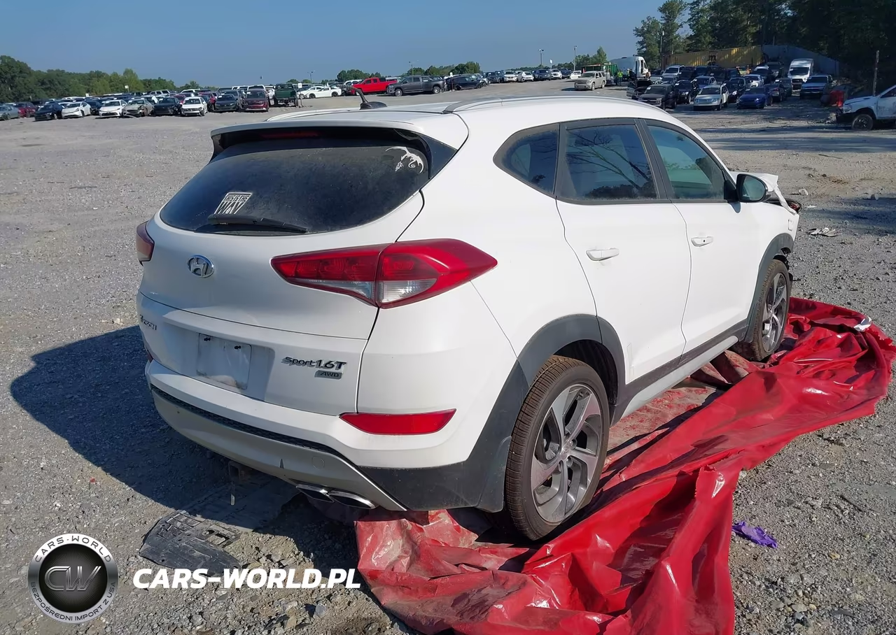 2017 Hyundai Tucson Sport VIN:KM8J3CA25HU374407 - 4