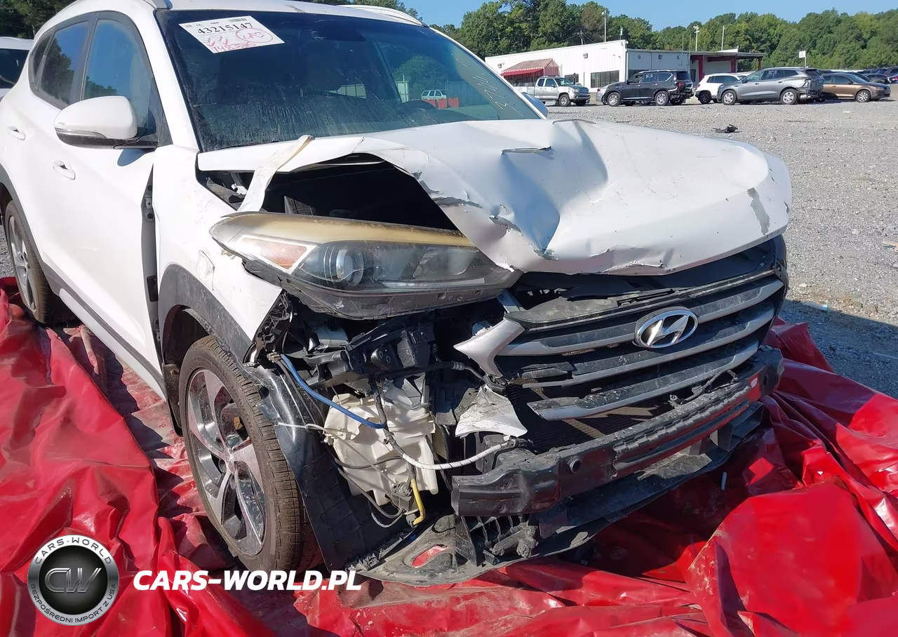 2017 Hyundai Tucson Sport VIN:KM8J3CA25HU374407 - 6