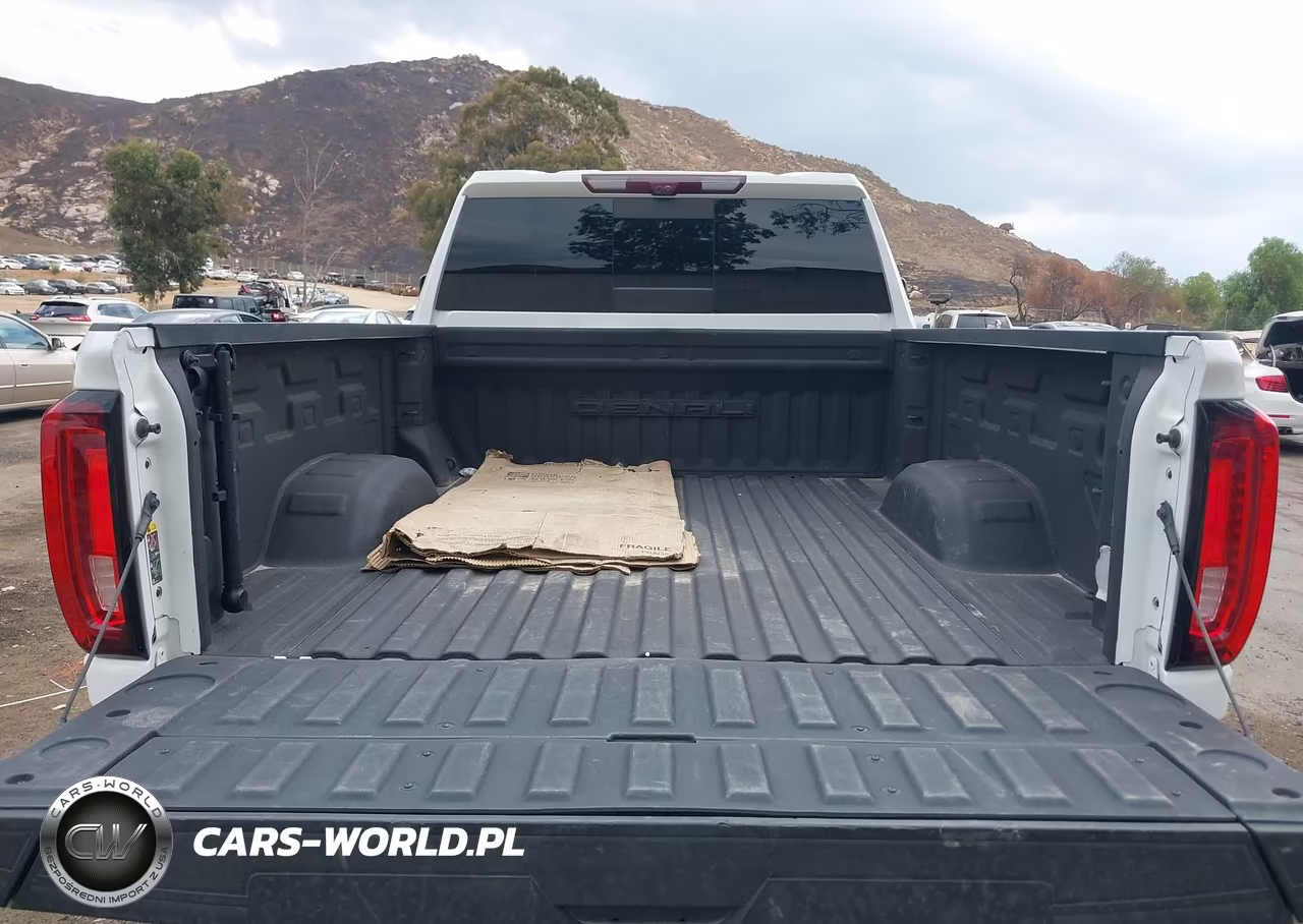 2022 GMC Sierra 2500Hd 4Wd Standard Bed Denali VIN:1GT49REY5NF123808 - 12