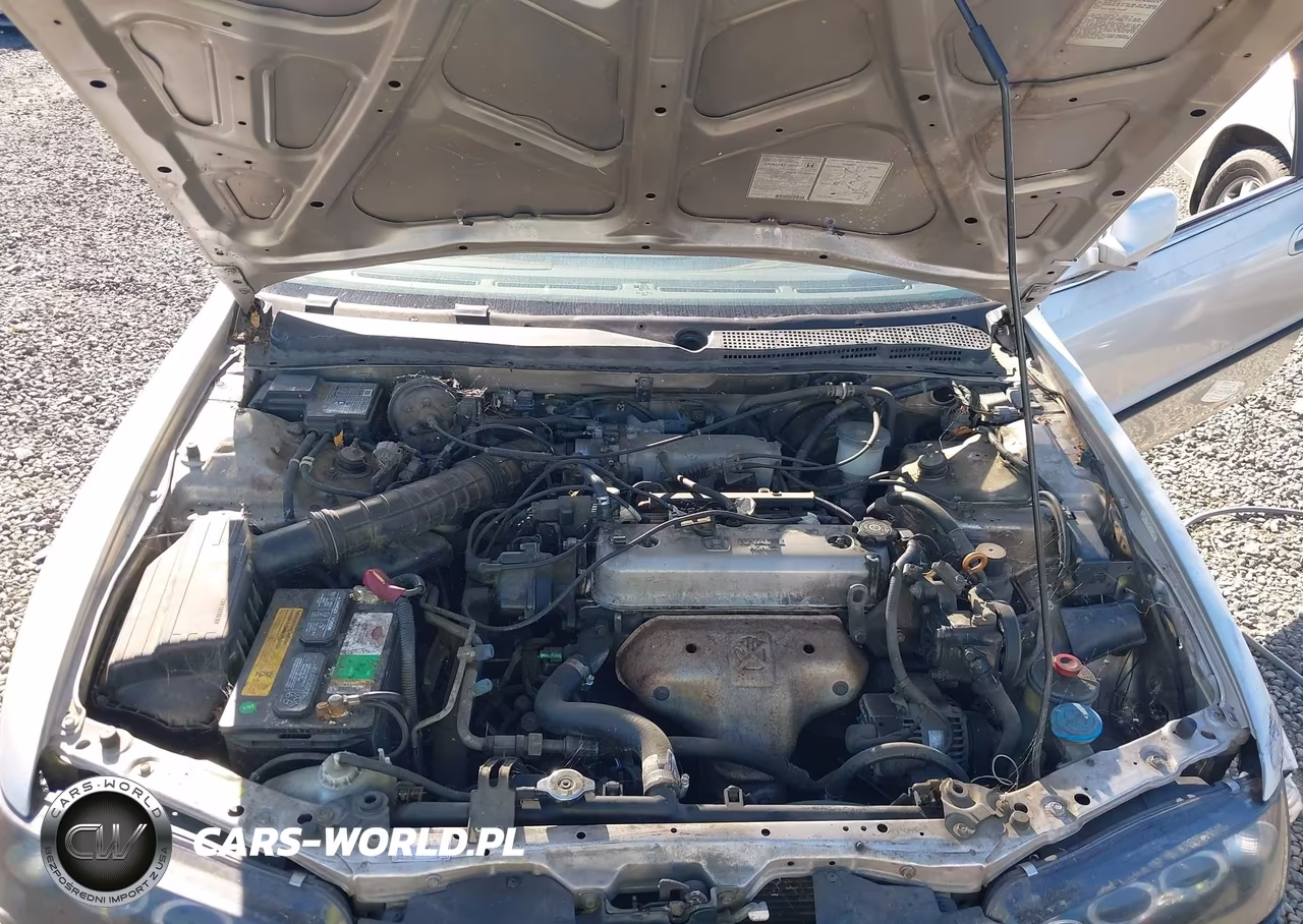 1996 Honda Accord Lx VIN:1HGCD7230TA001943 - 10