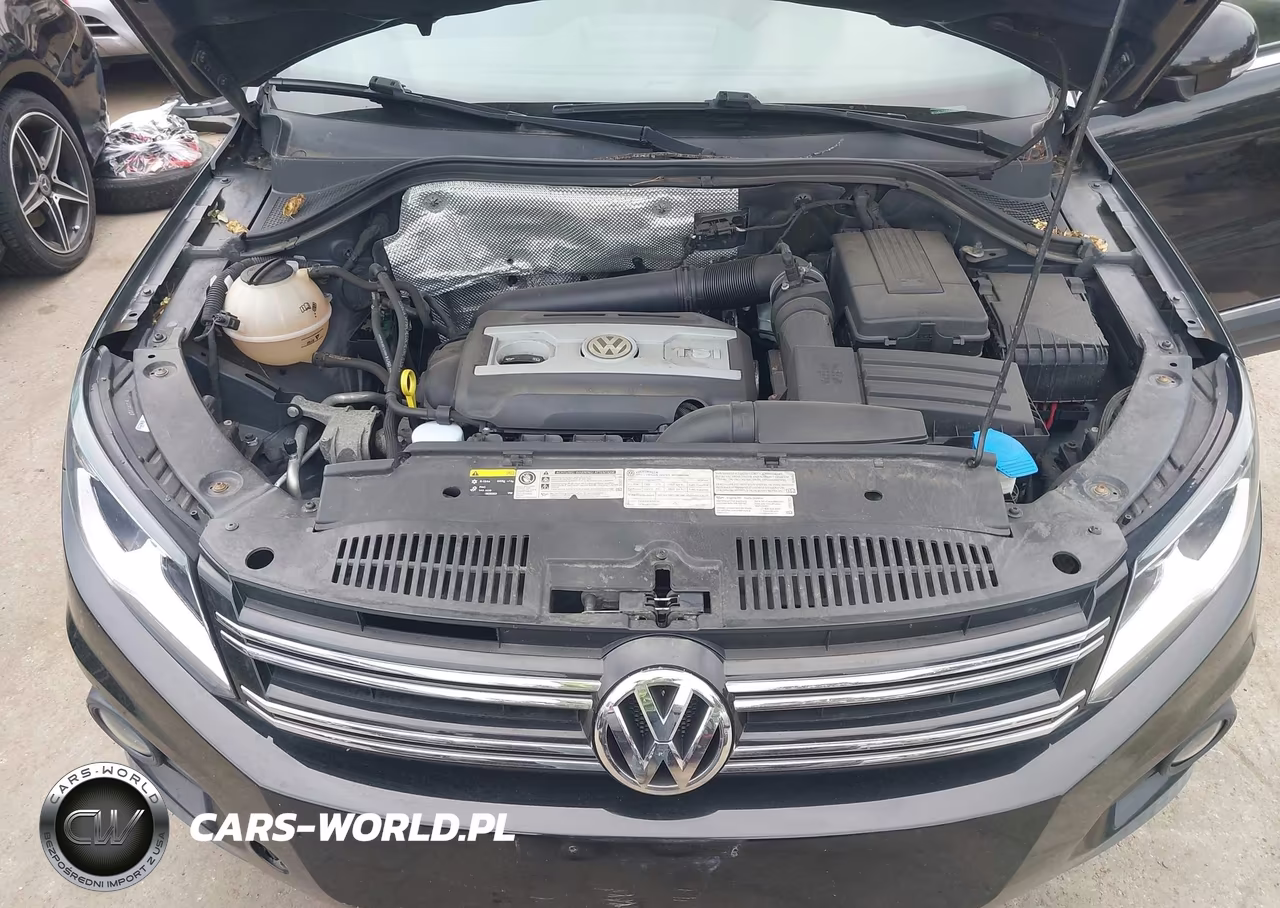 2014 Volkswagen Tiguan Sel VIN:WVGBV3AX0EW601416 - 10