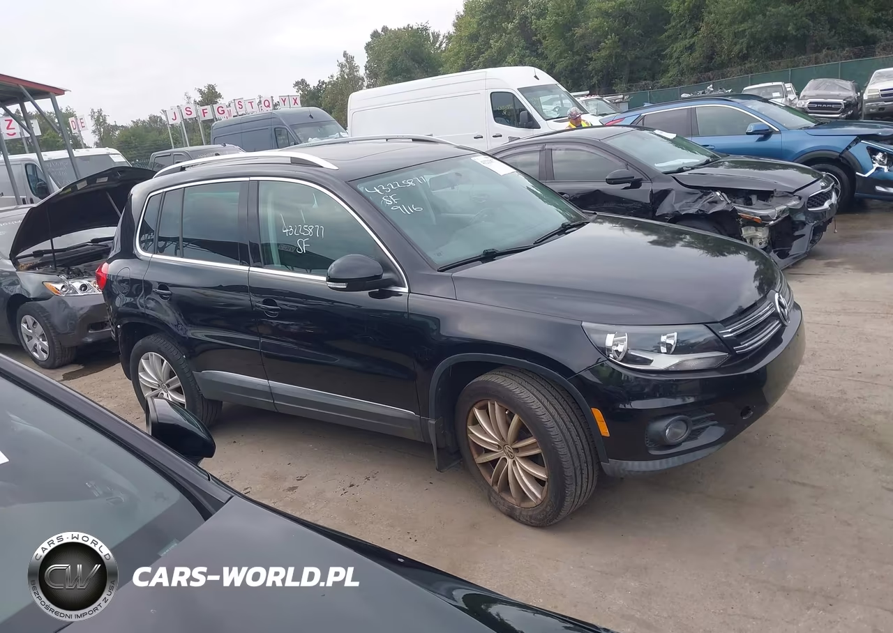 2014 Volkswagen Tiguan Sel VIN:WVGBV3AX0EW601416 - 14