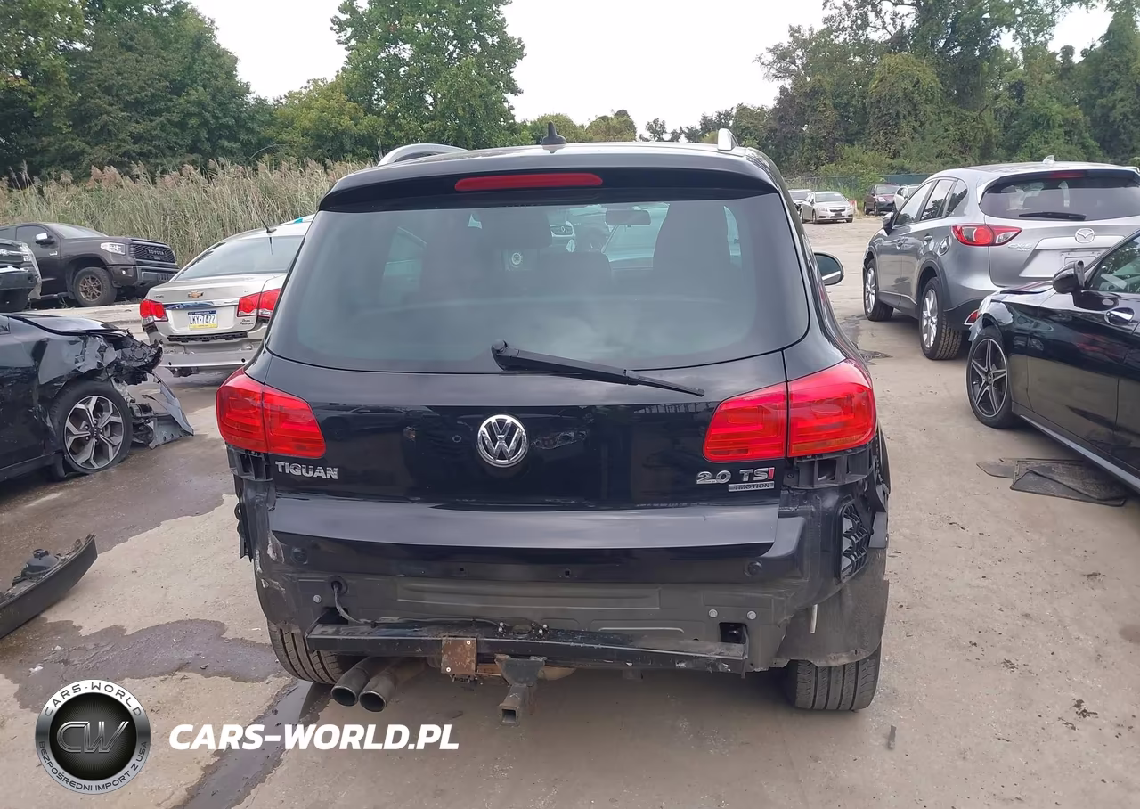 2014 Volkswagen Tiguan Sel VIN:WVGBV3AX0EW601416 - 17