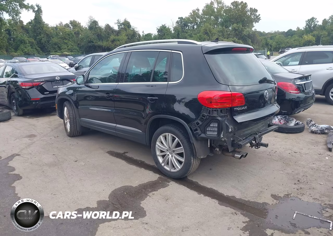 2014 Volkswagen Tiguan Sel VIN:WVGBV3AX0EW601416 - 3