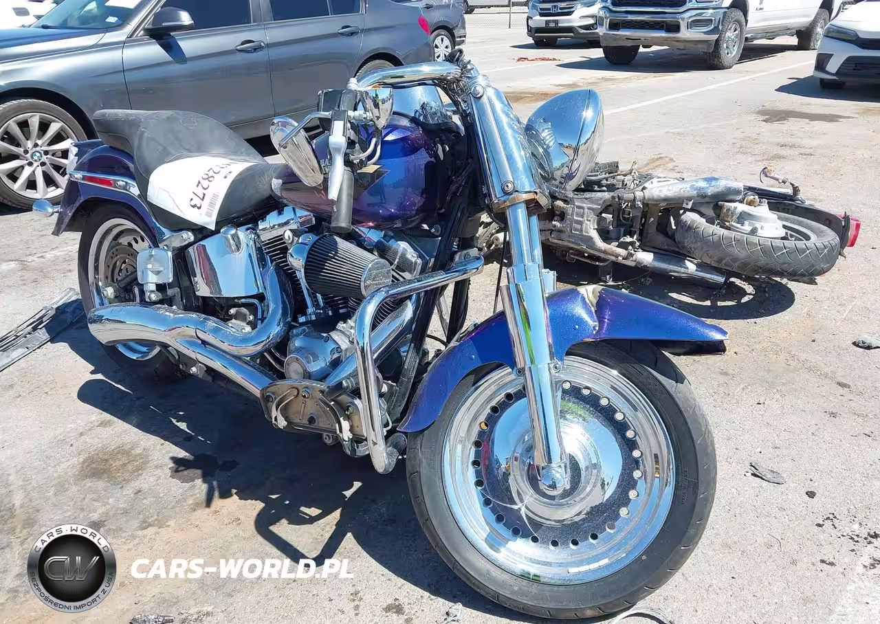 2010 Harley-Davidson Flstf