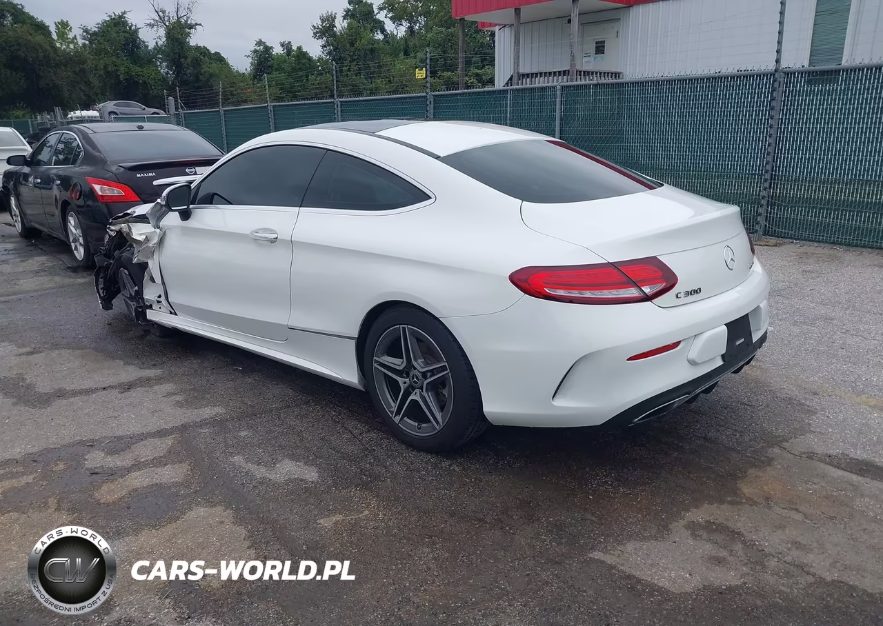 2019 Mercedes-Benz C 300 4Matic VIN:WDDWJ8EB0KF856033 - 3